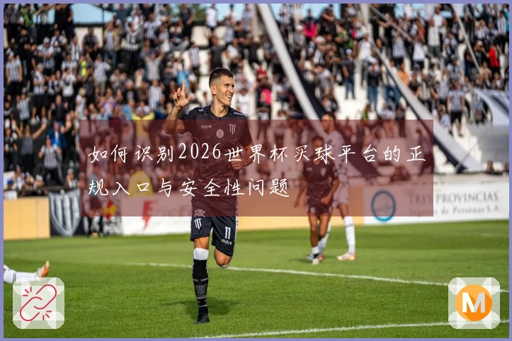 如何识别2026世界杯买球平台的正规入口与安全性问题