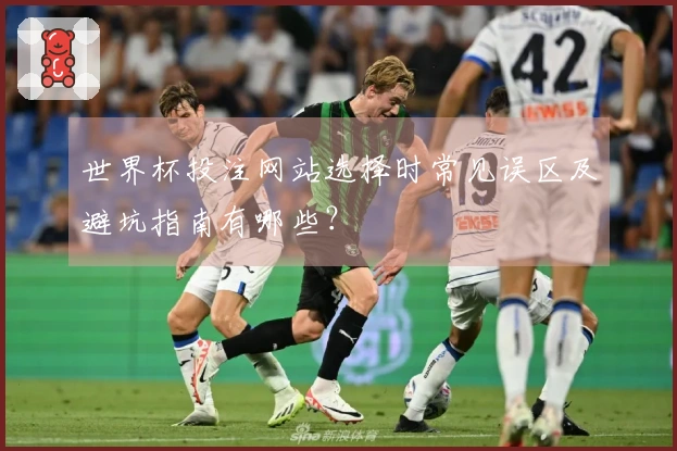 世界杯投注网站选择时常见误区及避坑指南有哪些？